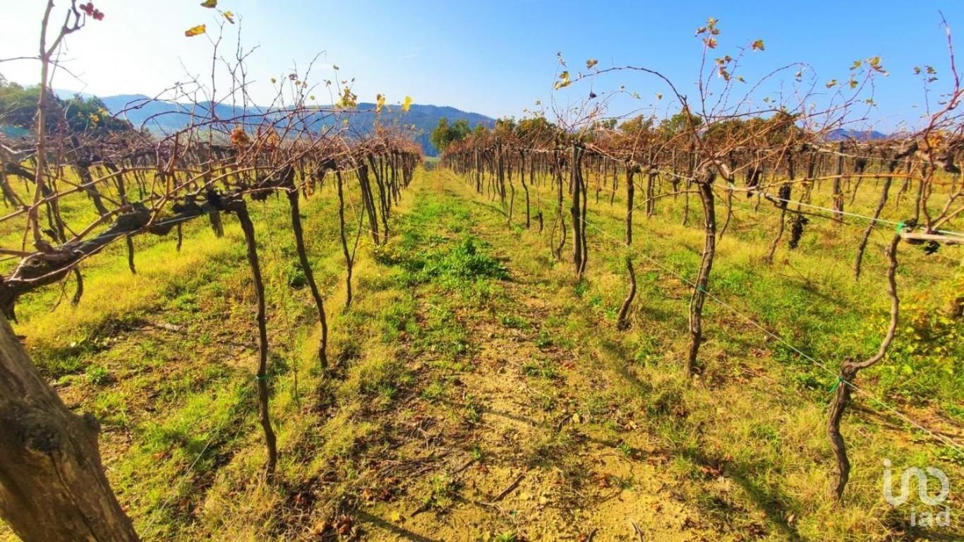 Apartamento Podere Mona *